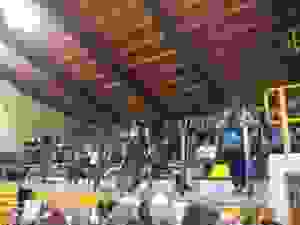 klisto16