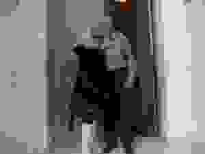 lia1