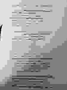 a10