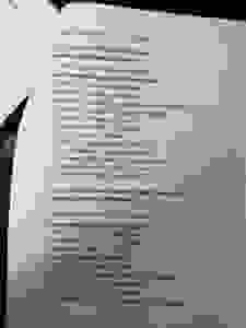 a2