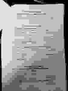 a25