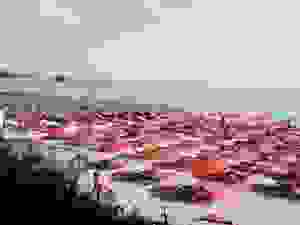 costa