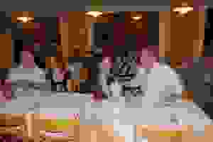 kout5