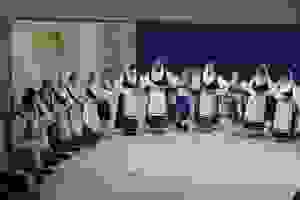 pal3
