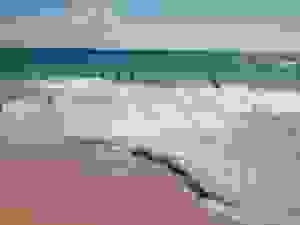 COSTA