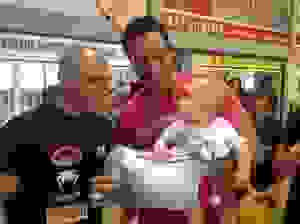 MIKE17