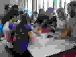 erg3