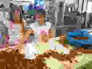erg9
