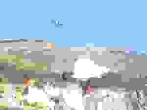 fotia6