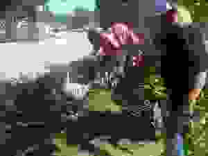 kut8