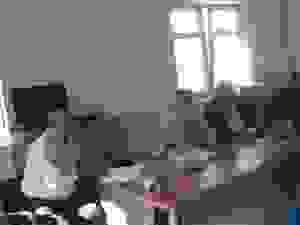 xris8