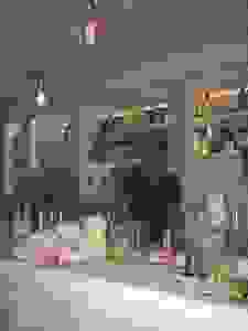 pipo