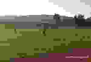 an