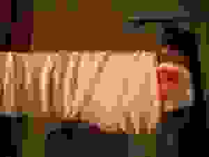 anim