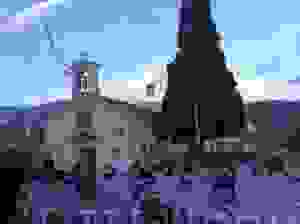 rak10
