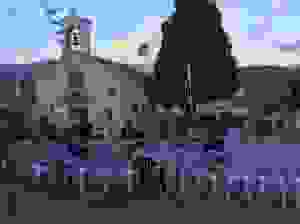 rak2