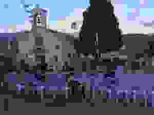 rak8