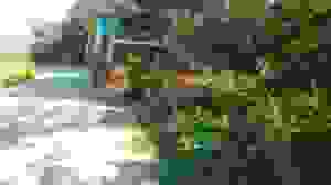 alex3