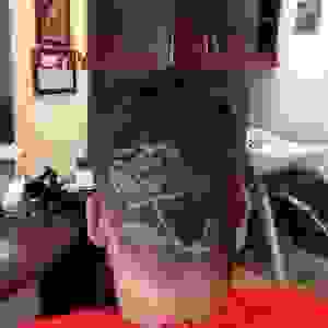 barb1