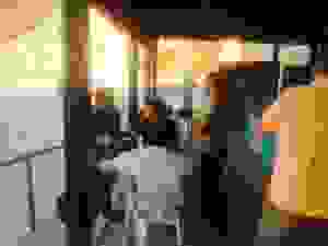 mirtos2