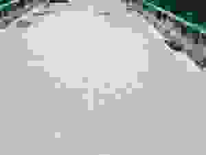 gef1