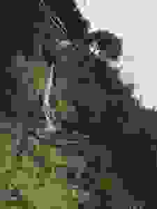 jer13