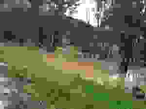 jer1