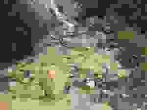 jer18