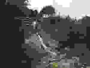 jer20