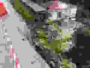 jer29