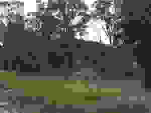 jer3
