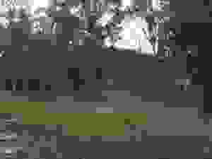 jer4