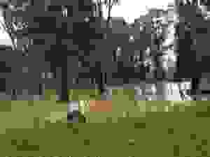 jer5