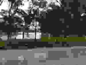 jer7
