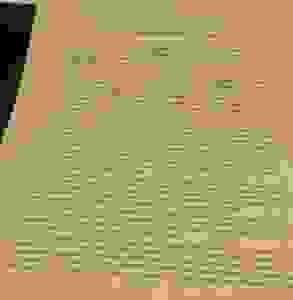 sel1_1
