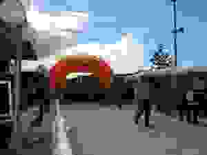 DSCN6799