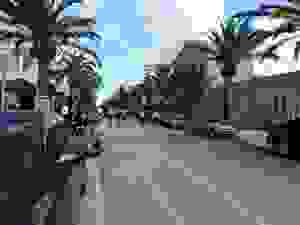 DSCN6815
