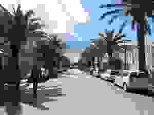 DSCN6817