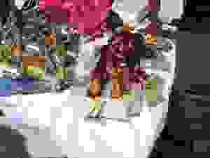 DSCN6822