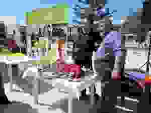 DSCN6823