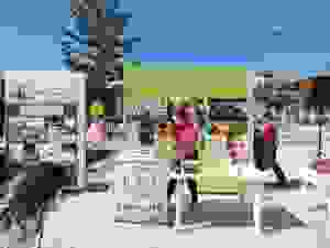 DSCN6827