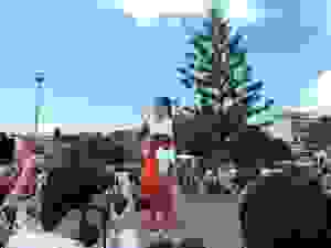 DSCN6864