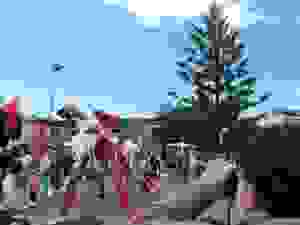 DSCN6866