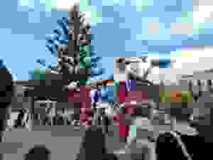 DSCN6867