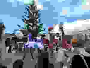 DSCN6868