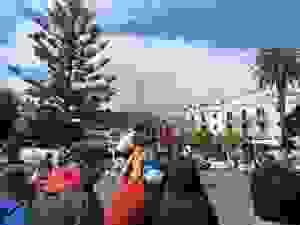 DSCN6869