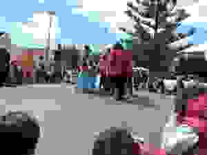 DSCN6871