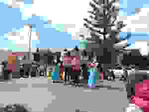 DSCN6873