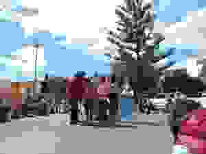DSCN6874