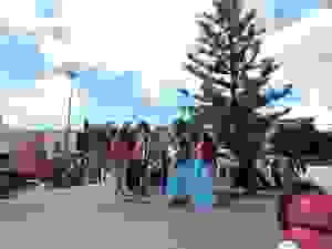 DSCN6880